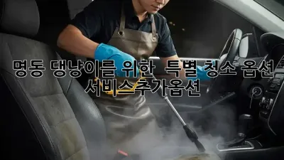 명동 댕냥이를 위한 ✨ 특별 청소 옵션! 🐾 #서비스추가옵션
