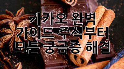 카카오 완벽 가이드: 주식부터 모든 궁금증 해결!