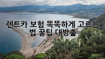 🚗 렌트카 보험, 똑똑하게 고르는 법! 꿀팁 대방출 🍯