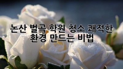 ✨ 논산 벌곡 학원 청소, 쾌적한 환경 만드는 비법! 🧹