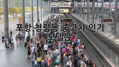 포항 청림동 중고차 인기 모델은?